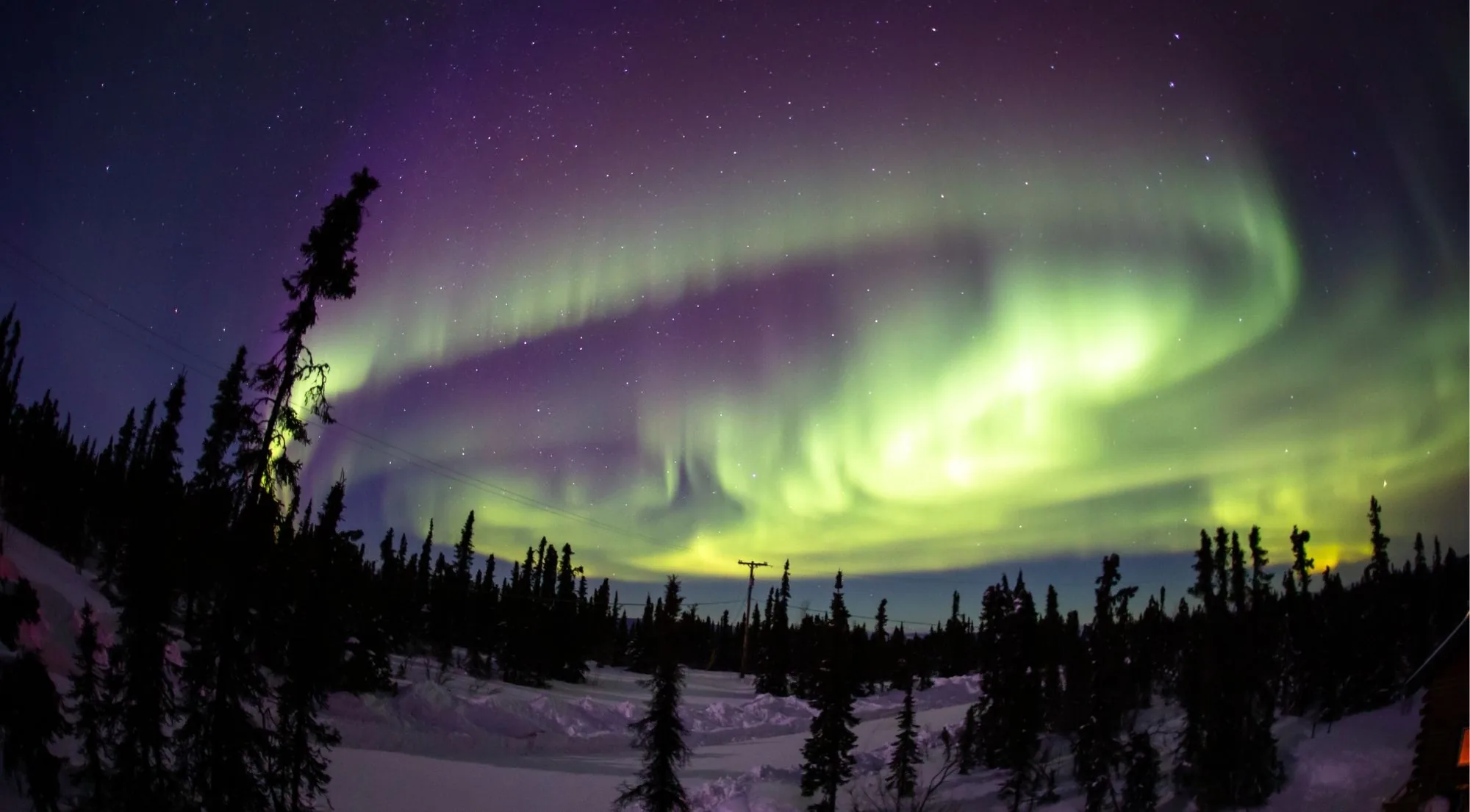 A wide green aurora arc with a violet fringe over a snowy clearing ringed by spruce trees