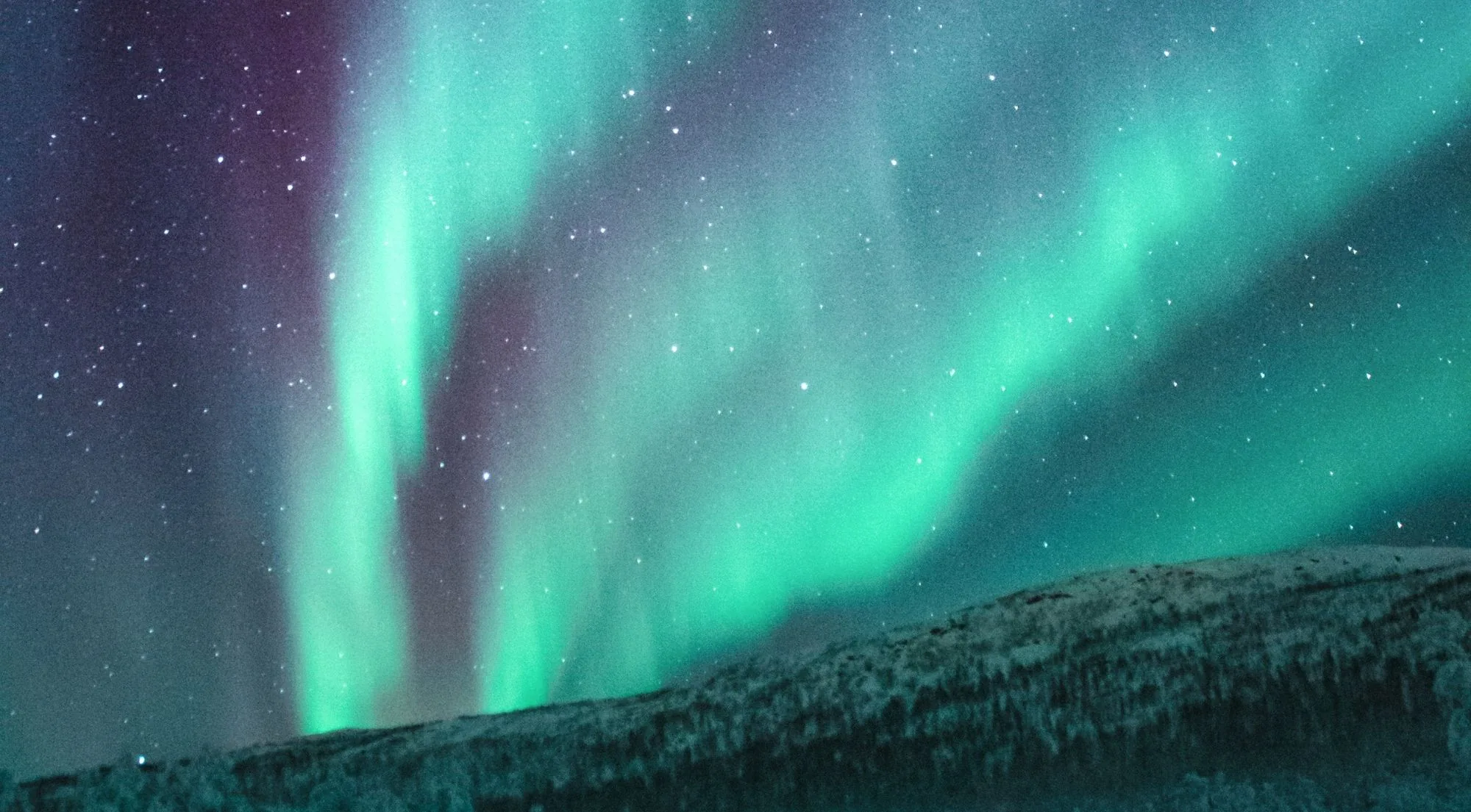 Green aurora curtains rising over a snow-covered hillside under a starry sky