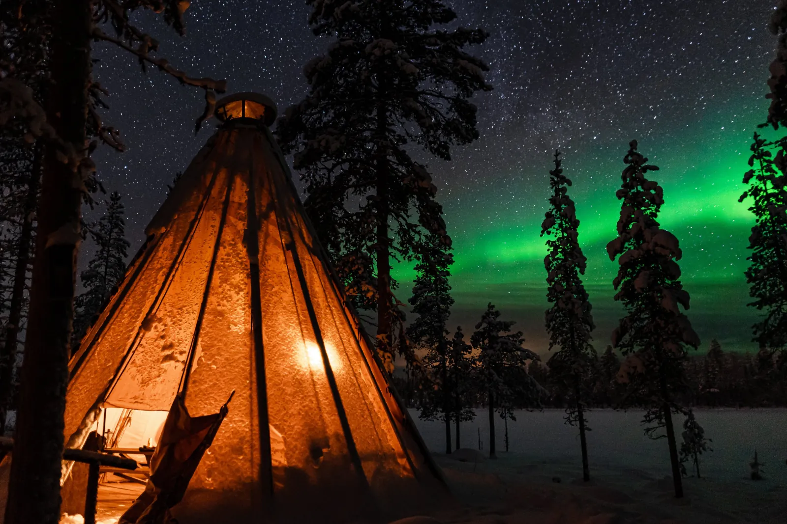 A tipi glowing from the fire inside, beside snowy pines under green aurora