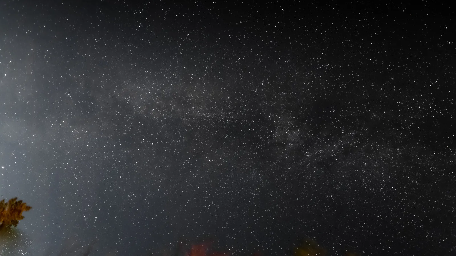 A dark starry night sky with the Milky Way above the faint tops of trees