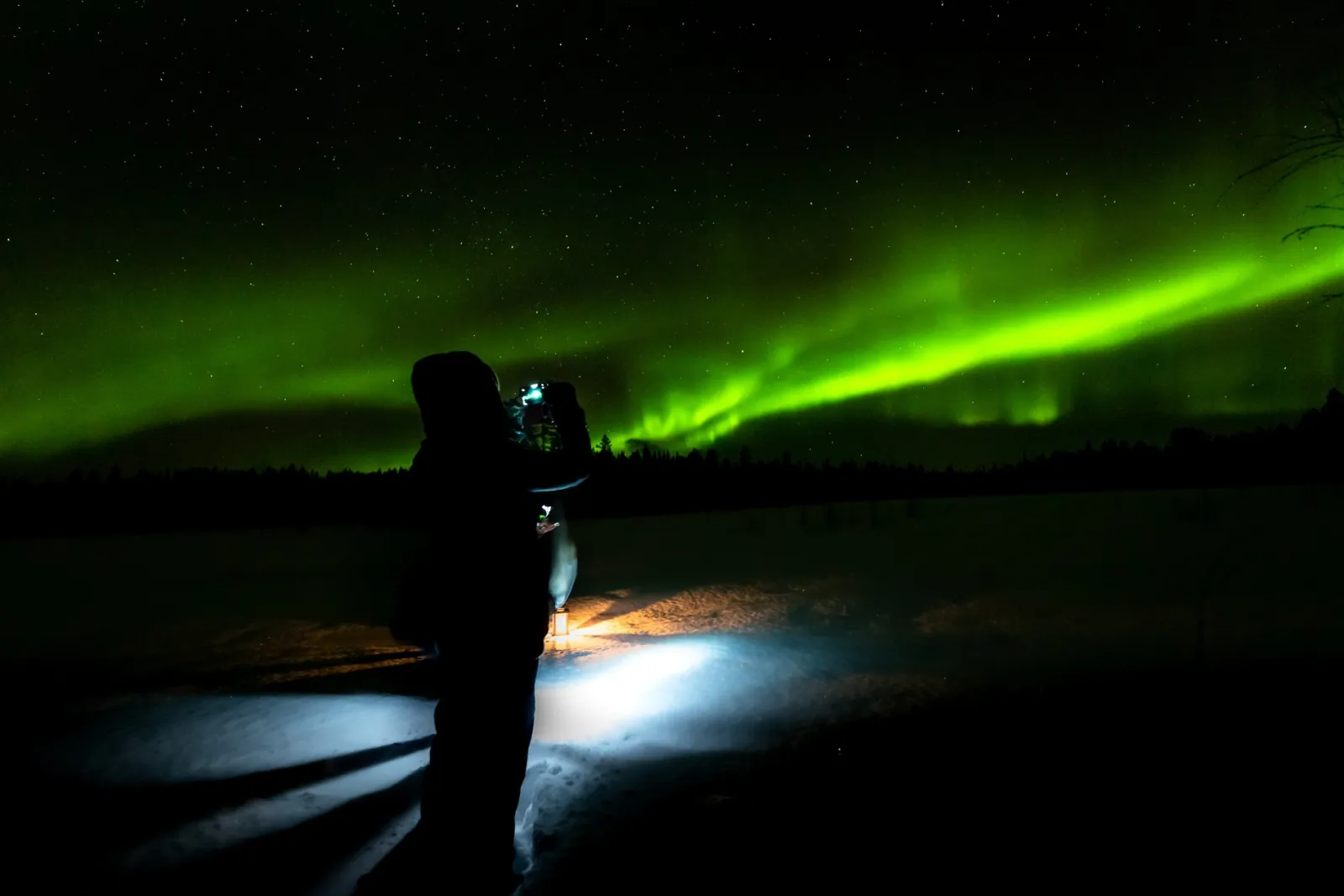 A guest photographing a bright green aurora band above a dark treeline