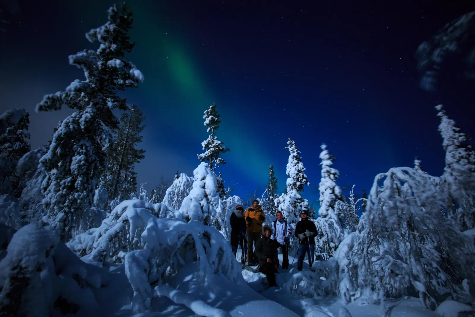 A small group on snowshoes among snow-laden trees under a faint green aurora