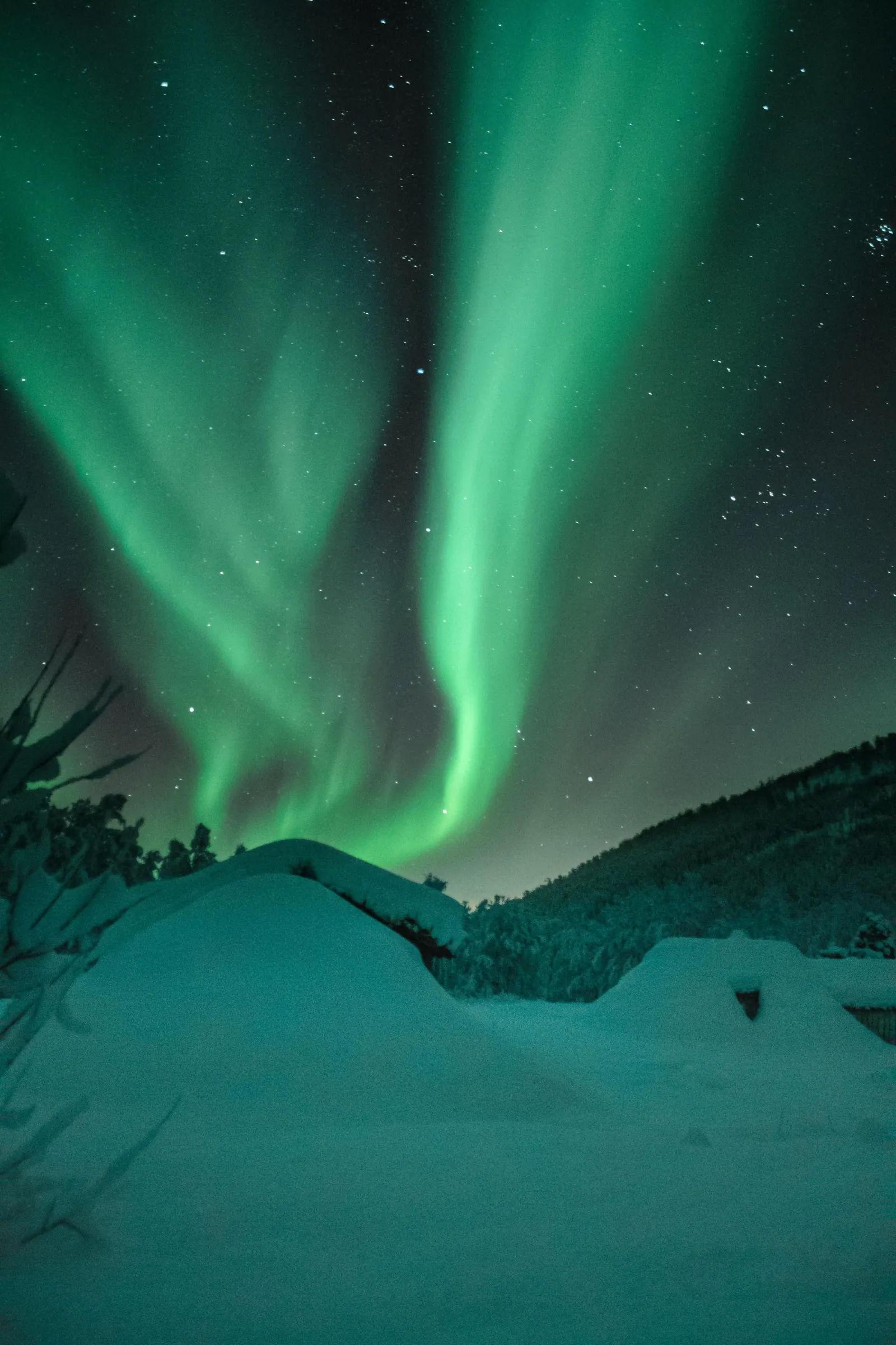 Green aurora curtains over snow-covered huts and a forested hillside