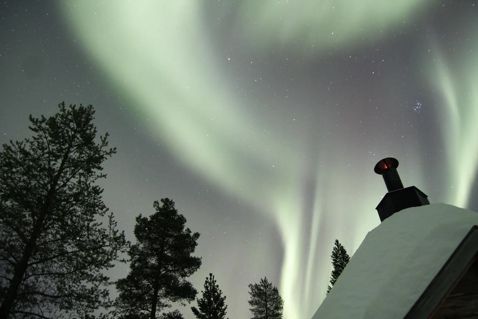Pale green aurora above pine silhouettes and a snowy hut roof with a chimney