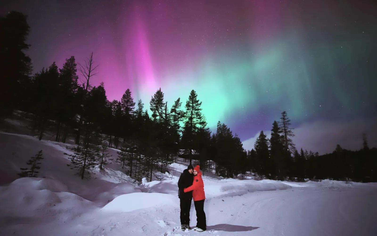 Two guests on a snowy forest track under pink and green aurora