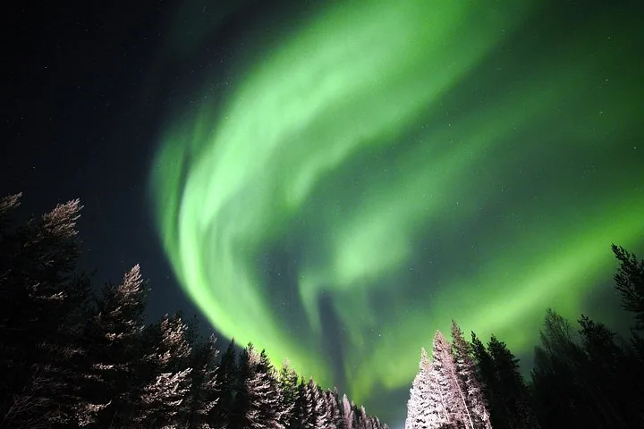 A broad green aurora swirl above snow-covered spruce trees at night
