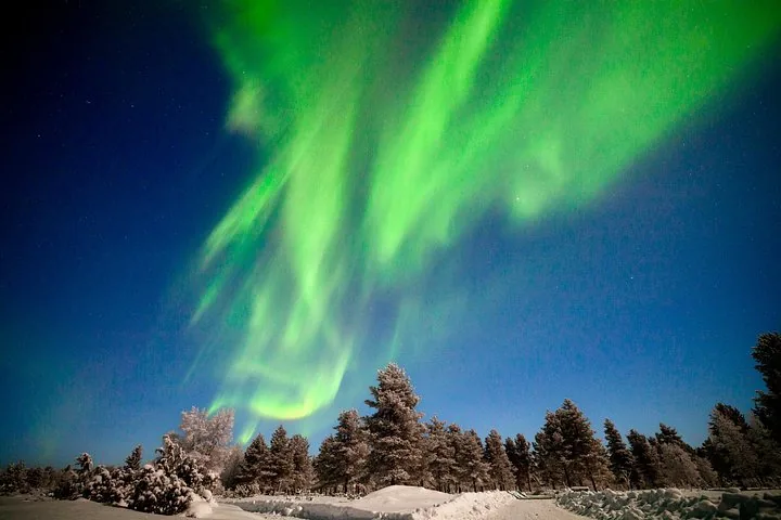 Bright green aurora rays above a snowy track and frosted spruce trees