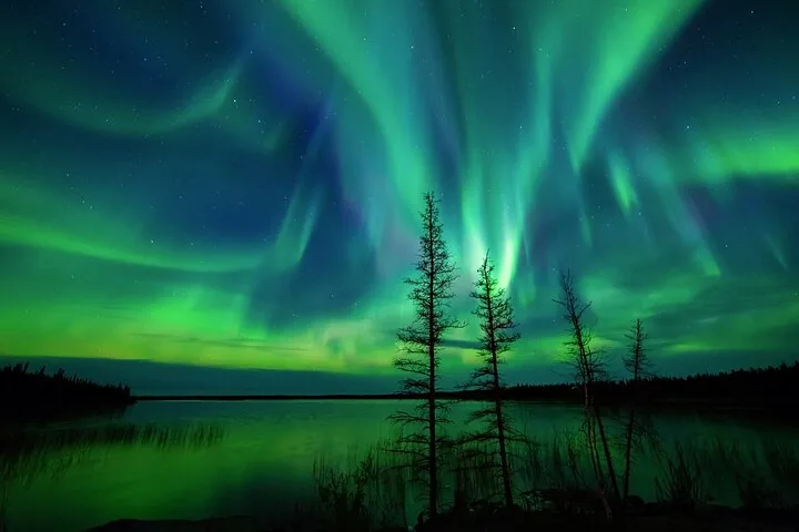 Green and violet aurora curtains reflected in a calm lake behind thin spruce trees